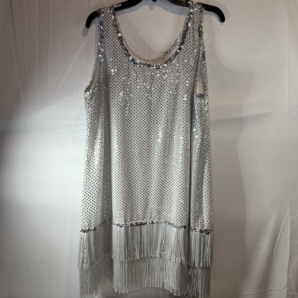 Women's 3X Silver Flappers Dress 1920s Sequins Fringe Pretty Fun Costumes‎ NYE
